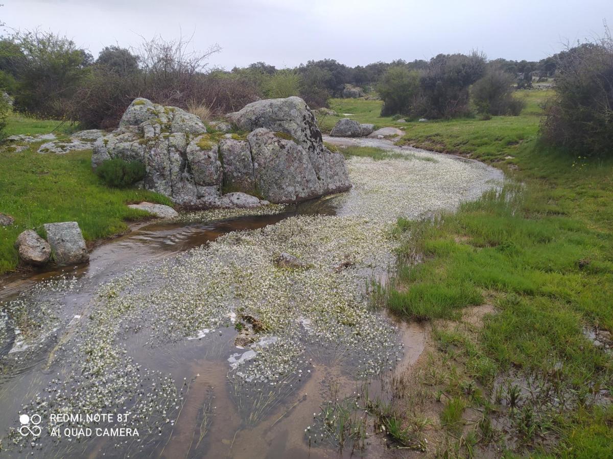 Piso Navas Διαμέρισμα Navas de San Antonio Εξωτερικό φωτογραφία